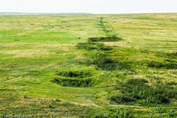 Кракен оригинальная ссылка для тор